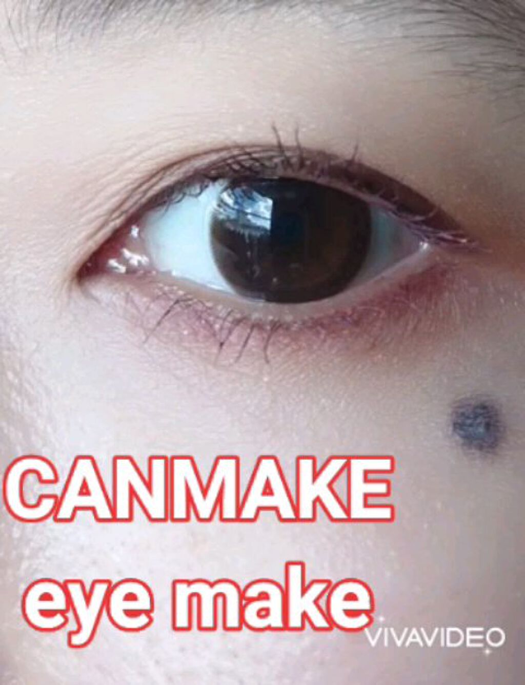 パーフェクトマルチアイズ/キャンメイク/アイシャドウパレットの人気ショート動画