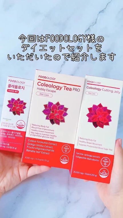 コレオロジーティー/FOODOLOGY/ドリンクの人気ショート動画