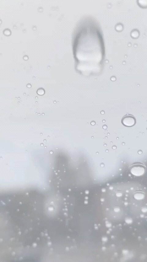 SKIN1004様より提供いただきました。

乳液のようなもっちりとしたテクスチャー。

口コミを読むと、
導入美容液として使ってる方が多いよう。

顔はもちろん、
デコルテ、指、手の甲、ひじまで
惜しみなく使ってます。



残念なのは、