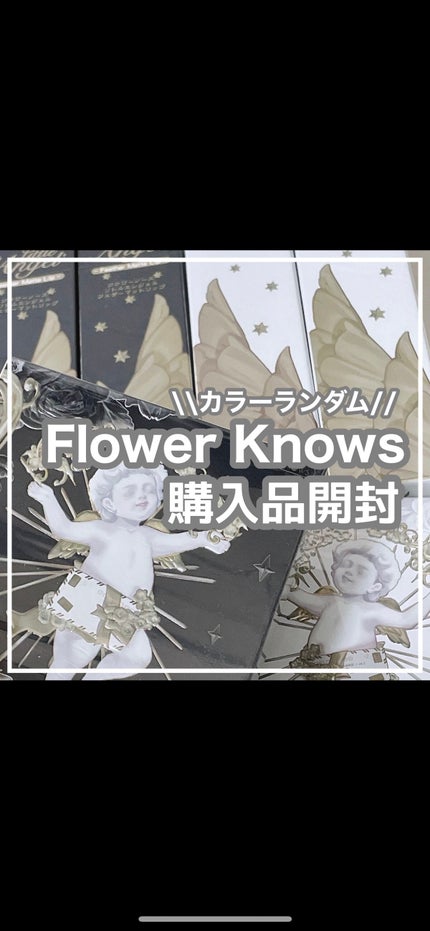 リトルエンジェルフェザーマットリップ/FlowerKnows/口紅の人気ショート動画