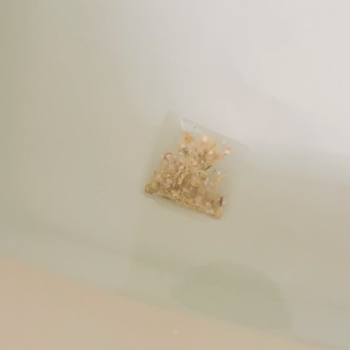 ハーブバスソルト マリーゴールド&ジンジャー/アロマブルーム/保湿系入浴剤の動画クチコミ2つ目