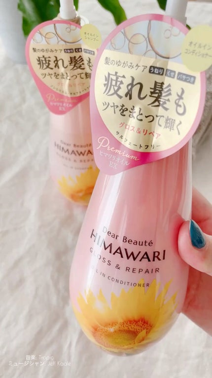 オイルインシャンプー/オイルインコンディショナー (グロス&リペア)/ディアボーテ/市販シャンプーの人気ショート動画