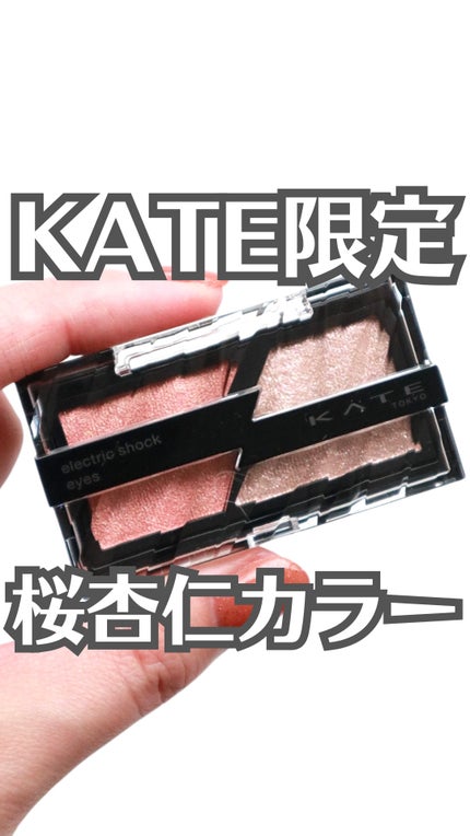 エレクトリックショックアイズ /KATE/アイシャドウパレットの動画クチコミ3つ目