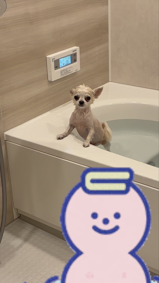 BODY SELEB 灼熱系ボディメイク Red Heat Hot pepper SHAPE UP GEL/フィード/ボディローションの動画クチコミ1つ目