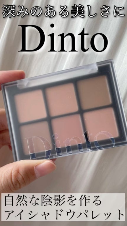 ブラーフィニシュシャドウパレット/Dinto/アイシャドウパレットの人気ショート動画