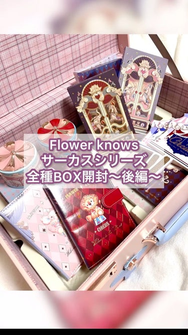 サーカスシリーズ12色アイシャドウパレット  02 Incredible Kingdom/FlowerKnows/アイシャドウパレットを使ったクチコミ（1枚目）