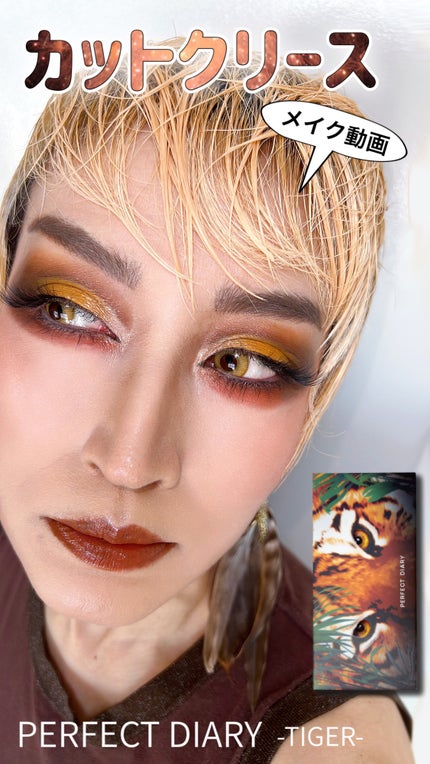 エクスプローラ12色 動物アイシャドウパレット/PERFECT DIARY/アイシャドウパレットの人気ショート動画