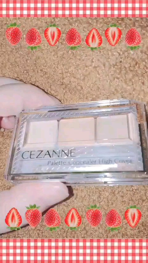 パレットコンシーラー ハイカバー/CEZANNE/パレットコンシーラーを使ったクチコミ（1枚目）