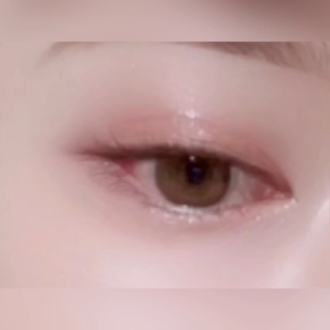 長相思シリーズ 9色アイシャドウパレット/CATKIN/アイシャドウパレットを使ったクチコミ（1枚目）