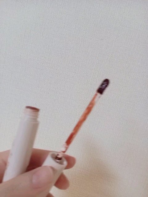 ジューシーリップティント/キャンメイク/口紅を使ったクチコミ（1枚目）