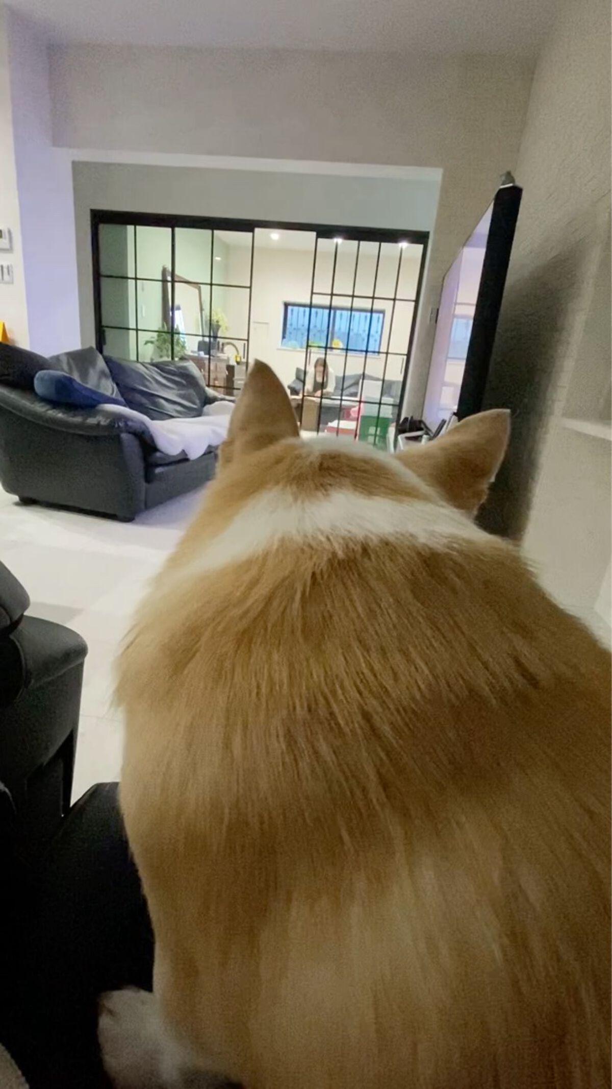 うるおいローション/シンプルバランス/オールインワン化粧品を使ったクチコミ（3枚目）