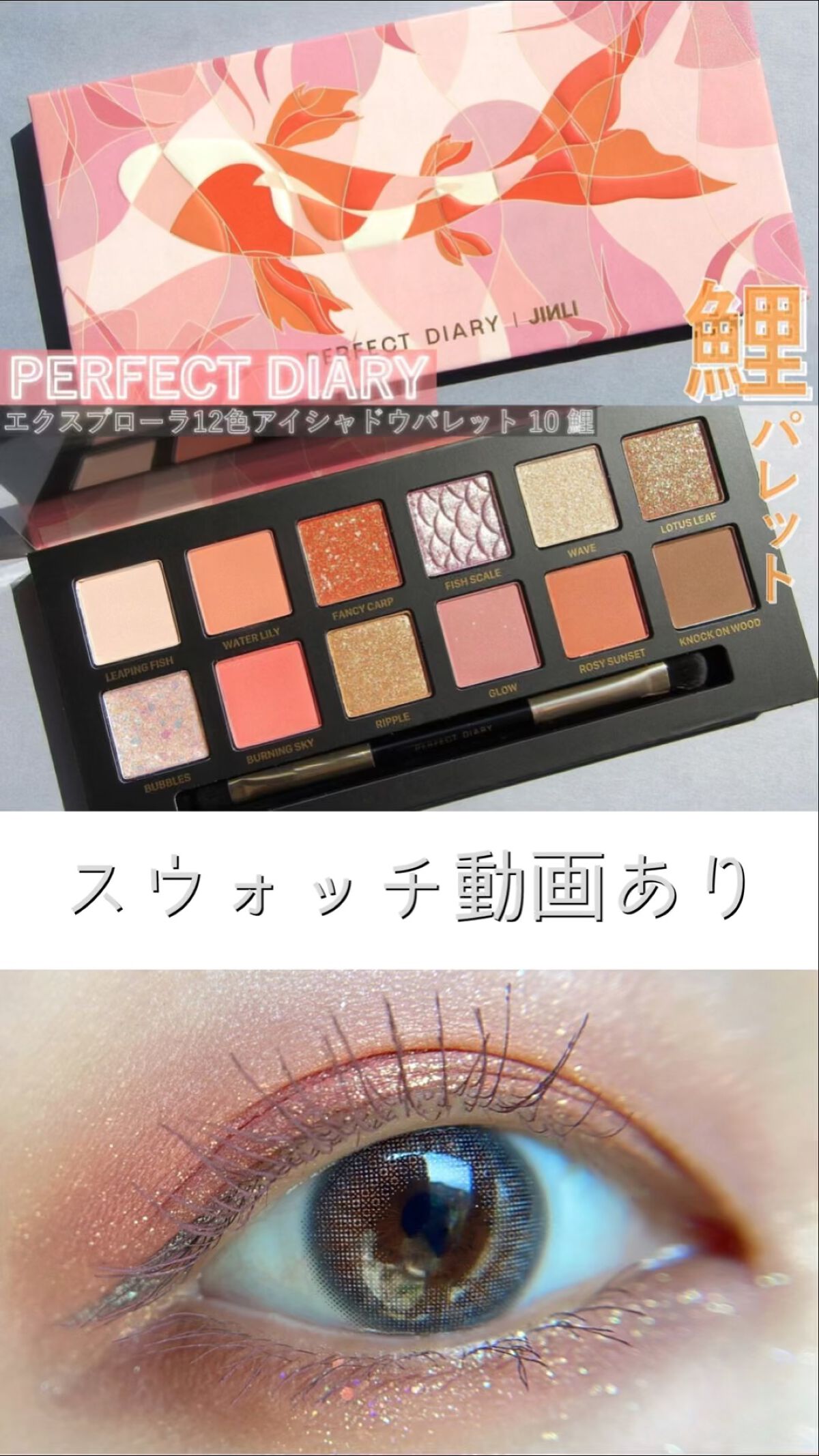 エクスプローラ12色 動物アイシャドウパレット/PERFECT DIARY/アイシャドウパレットを使ったクチコミ（1枚目）