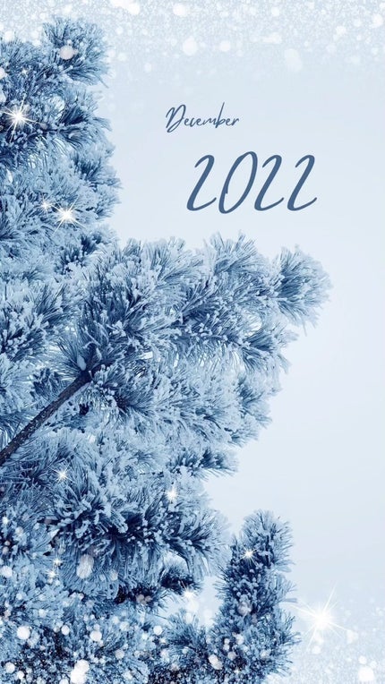 ネイルカラー/SHAREYDVA(シャレドワ)/マニキュアの人気ショート動画