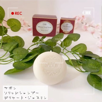 ソリッドシャンプー/SABON/市販シャンプーの人気ショート動画