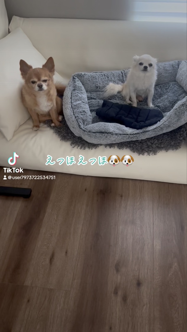 ネイルホリック リペア セラム リッチ/ネイルホリック/ネイルオイル・トリートメントの動画クチコミ2つ目