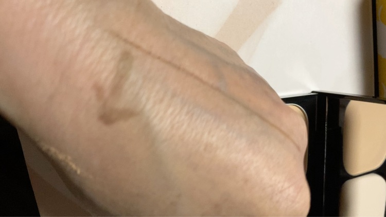 スキンカバーフィルターファンデーション/KATE/パウダーファンデーションを使ったクチコミ（3枚目）