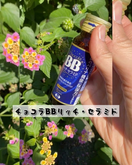 チョコラBBリッチセラミド/チョコラBB/美容ドリンクの人気ショート動画