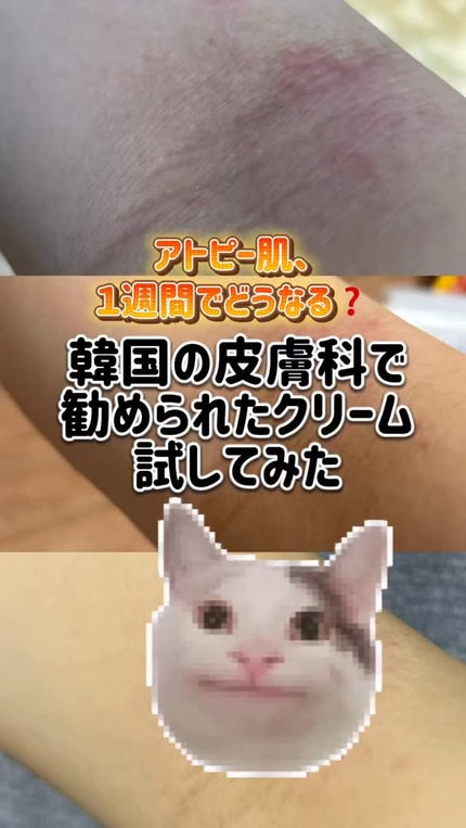 アトバリア365クリーム/AESTURA/フェイスクリームの人気ショート動画