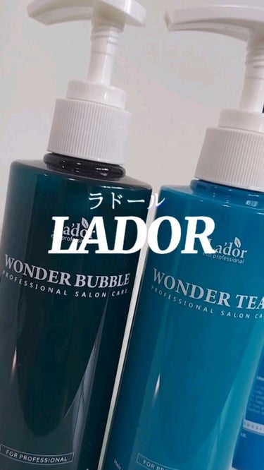 WONDER BALM/La'dor/洗い流すヘアトリートメントを使ったクチコミ（1枚目）