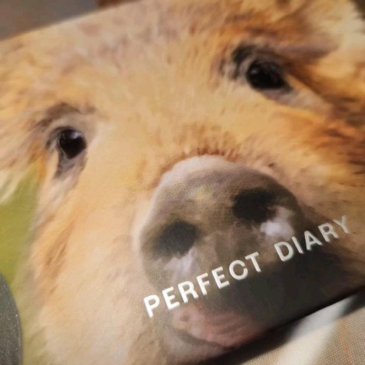 エクスプローラ12色 動物アイシャドウパレット/PERFECT DIARY/アイシャドウパレットを使ったクチコミ（1枚目）