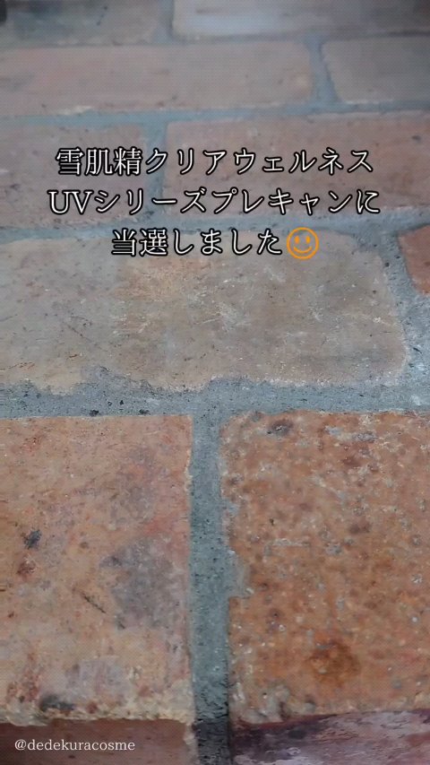 スキンケア UV トーンアップ/雪肌精/化粧下地を使ったクチコミ（1枚目）