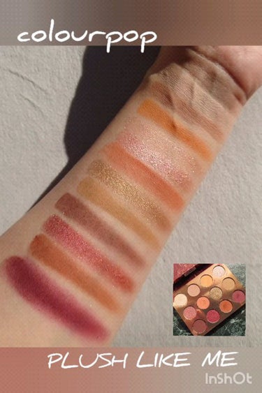 プラッシュ ライク ミー/ColourPop/アイシャドウパレットを使ったクチコミ（1枚目）