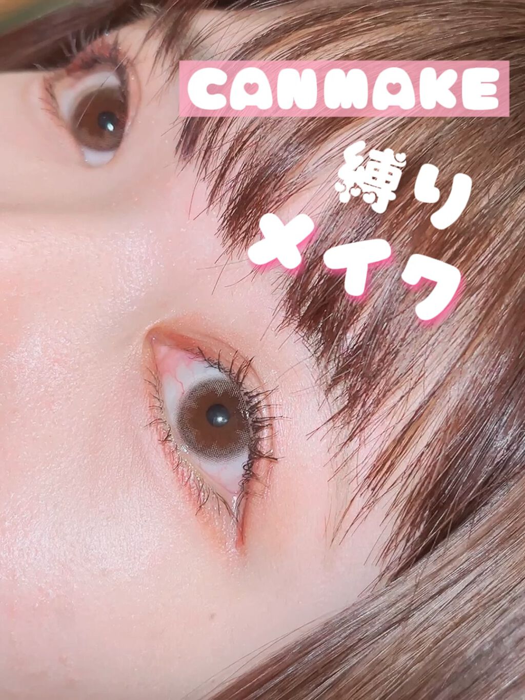 パーフェクトスタイリストアイズ/キャンメイク/アイシャドウパレットの人気ショート動画