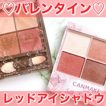 ニュアンスオンアイシャドウ/CEZANNE/アイシャドウパレットの人気ショート動画