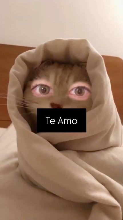 TeAmo 1DAY/TeAmo/ワンデー(1DAY)カラコンの人気ショート動画