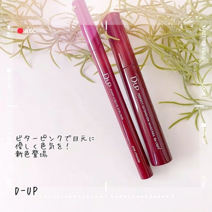 シルキーリキッドアイライナーWP/D-UP/リキッドアイライナーの人気ショート動画