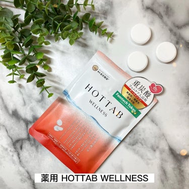 薬用 HOT TAB WELLNESS /HOT TAB/入浴剤を使ったクチコミ（1枚目）