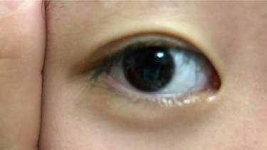 ローヤルアイム リピ/ROYAL/二重まぶた用アイテムを使ったクチコミ（1枚目）