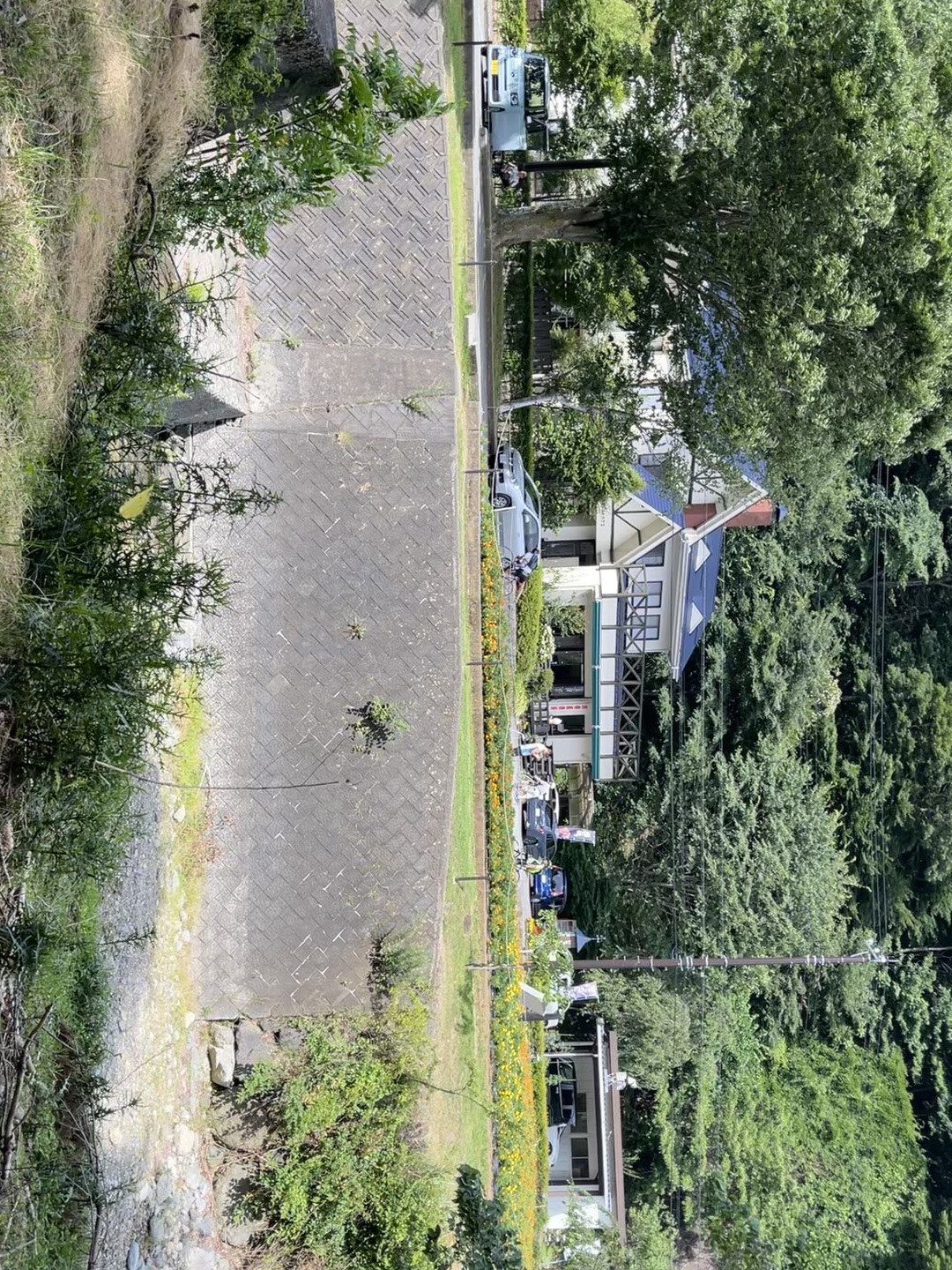 カラーリングアイブロウ/ヘビーローテーション/眉マスカラを使ったクチコミ（1枚目）