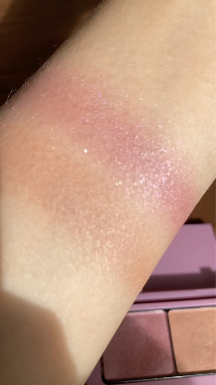 エテュセ アイエディション(カラーパレット) 08 カシスシナモン/ettusais/アイシャドウパレットを使ったクチコミ（3枚目）