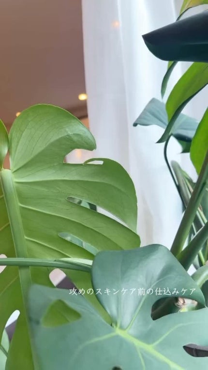 グリーンティー セラミド ミルク エッセンストナー/innisfree/化粧水の人気ショート動画