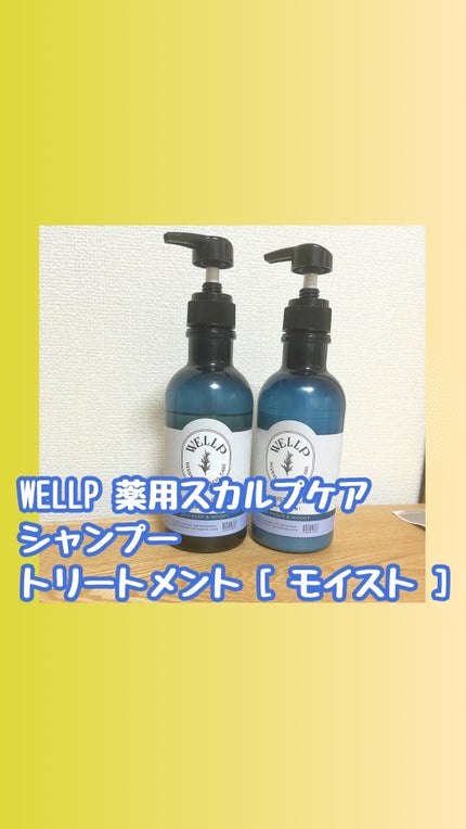 薬用スカルプケアシャンプー/トリートメント モイスト/WELLP/市販シャンプーの人気ショート動画