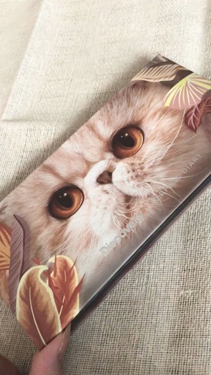 エクスプローラ12色 動物アイシャドウパレット/PERFECT DIARY/アイシャドウパレットの人気ショート動画