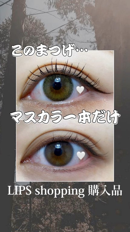 パーフェクトエクステンション マスカラ for カール/D-UP/マスカラの人気ショート動画