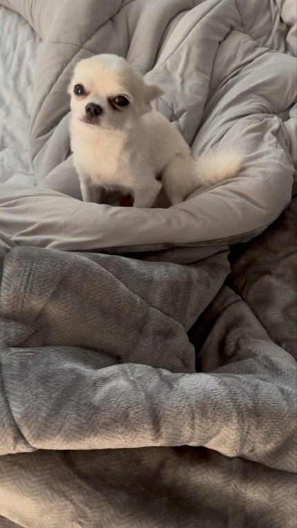 ディオールショウ スティロ ウォータープルーフ/Dior/アイライナーを使ったクチコミ(6枚目)