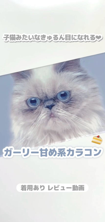 Charton 1day/Charton/ワンデー(1DAY)カラコンの人気ショート動画