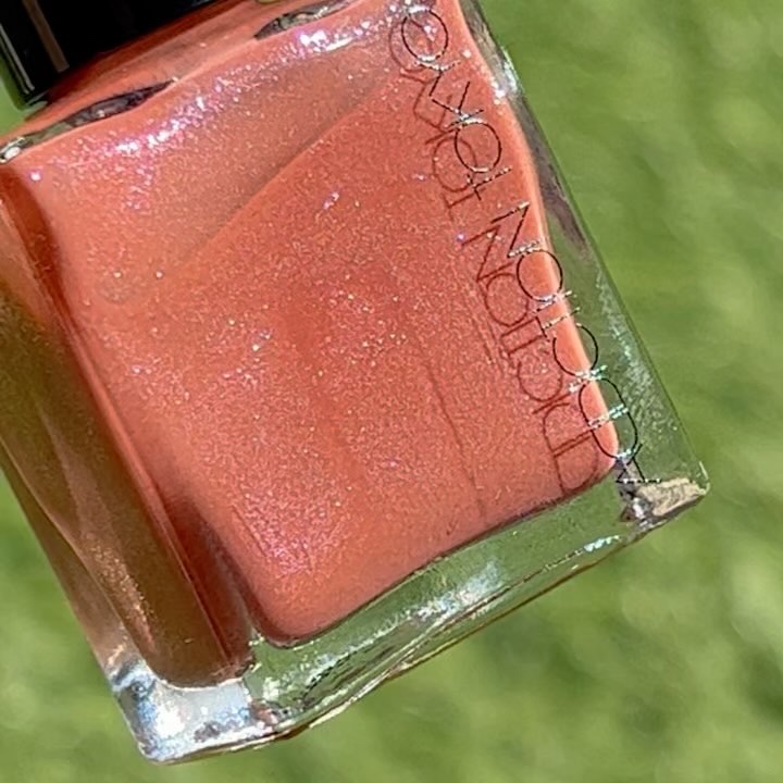 ホリデー アディクション サイレント ウィッシュⅠ/ADDICTION/メイクアップキットを使ったクチコミ（3枚目）