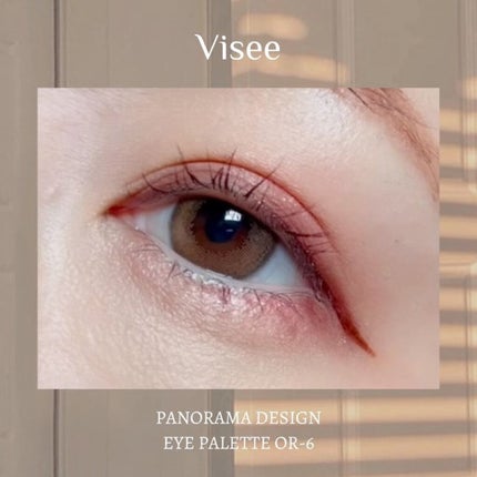 パノラマデザイン アイパレット/Visée/アイシャドウパレットを使ったクチコミ(5枚目)