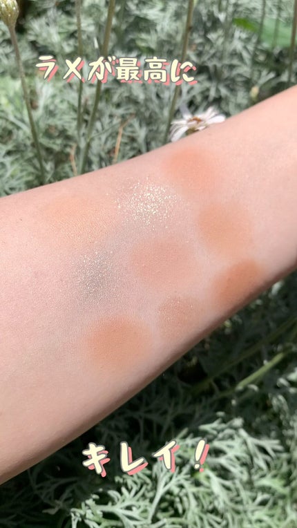 シャドウパレット/dasique/アイシャドウパレットの人気ショート動画