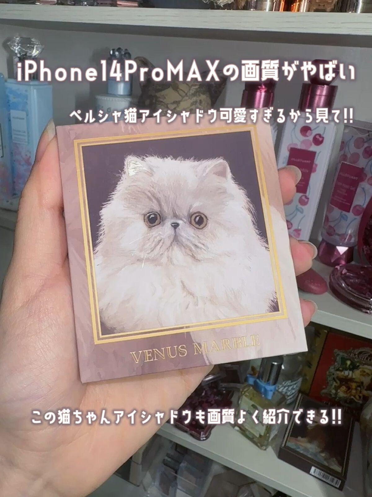 Venus Marble アイシャドウキャットシリーズ/Venus Marble/アイシャドウパレットの動画クチコミ1つ目