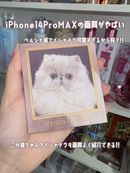 Venus Marble アイシャドウキャットシリーズ/Venus Marble/アイシャドウパレットの人気ショート動画