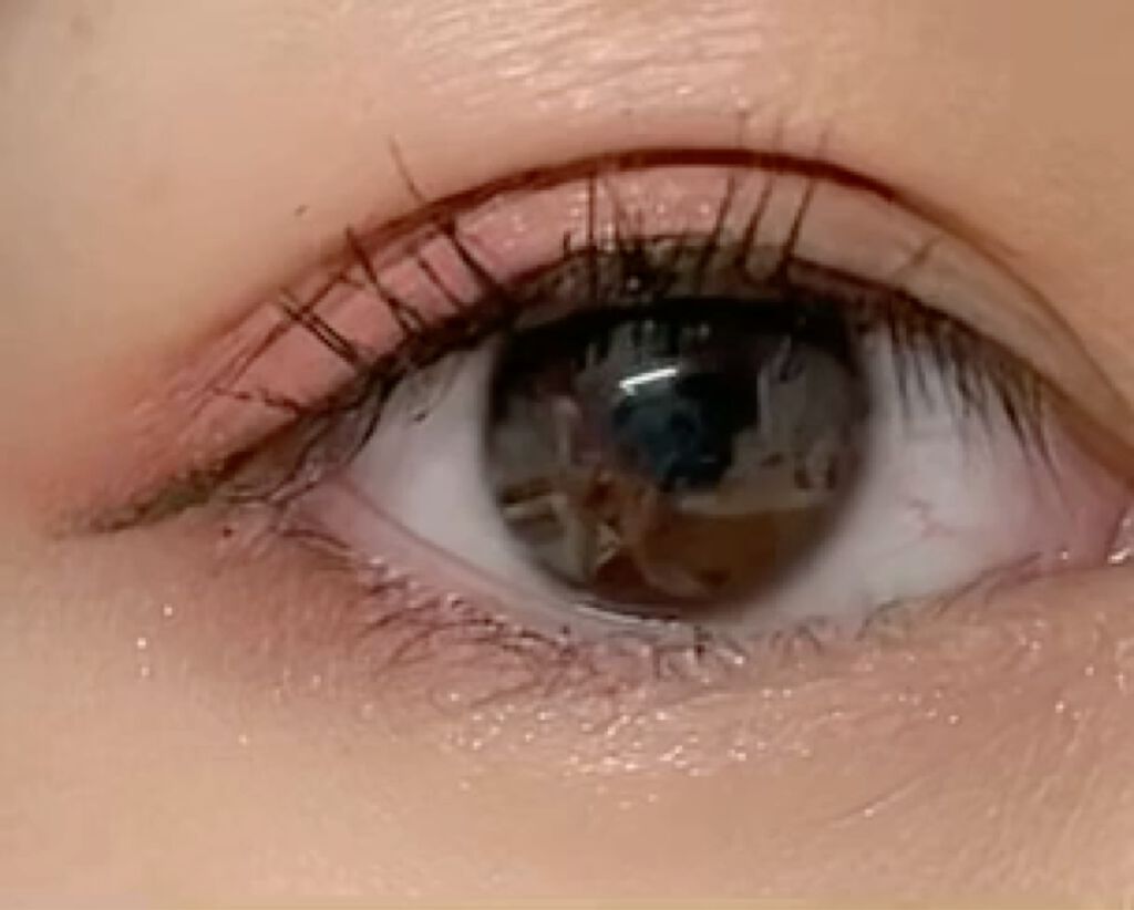 ムードチートキット/lilybyred/マルチパレットの動画クチコミ1つ目