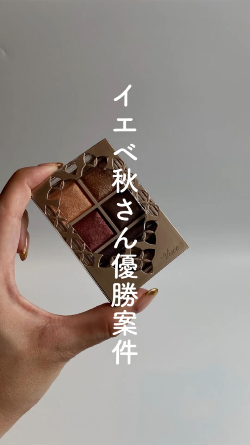 パノラマデザイン アイパレット/Visée/アイシャドウパレットの動画クチコミ1つ目