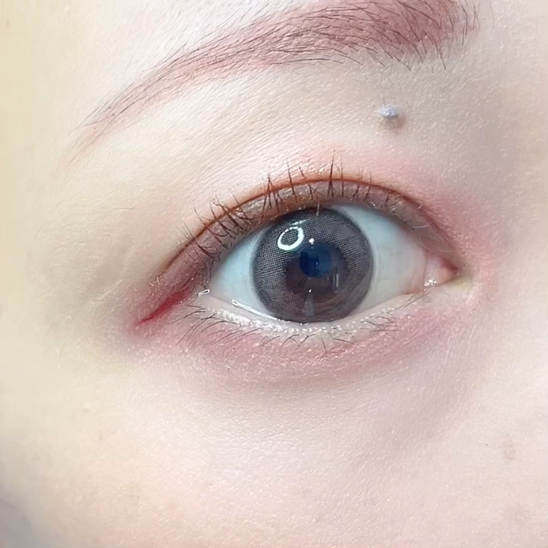 ドラマティックアイカラー (パウダー)/(クリーム)/マキアージュ/アイシャドウパレットを使ったクチコミ（3枚目）