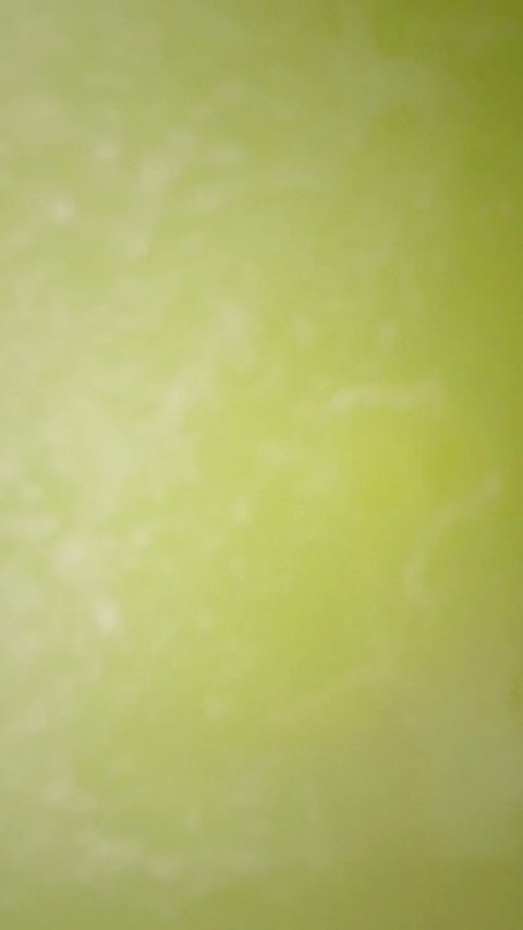 薬用入浴剤 カピバラのきもち/キモチ/無機塩系入浴剤を使ったクチコミ（2枚目）