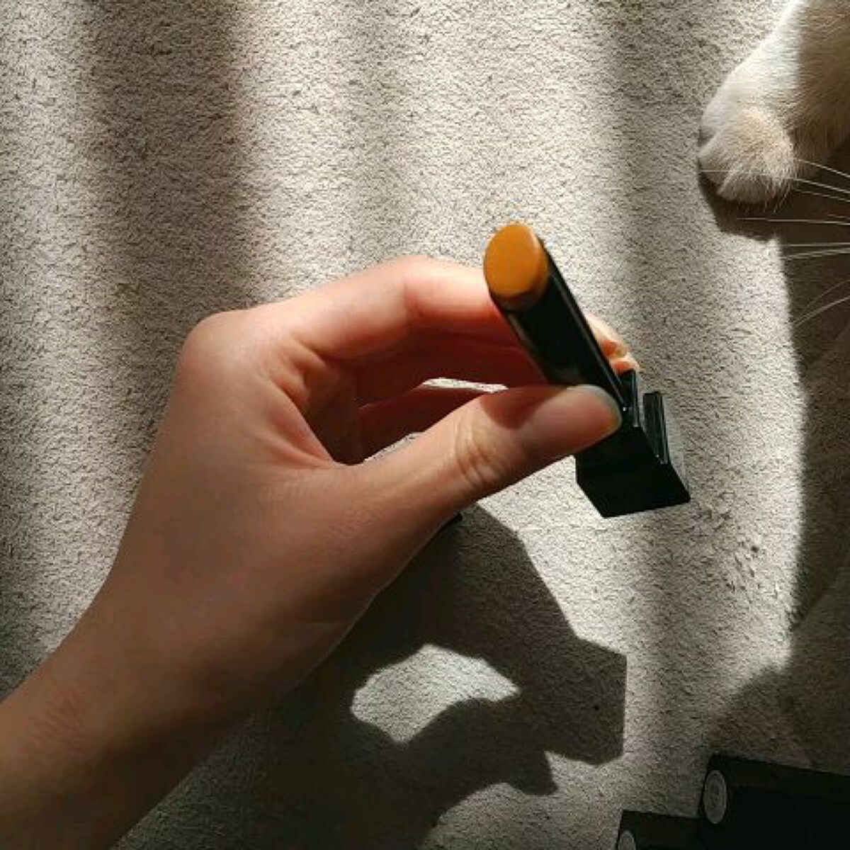 ケイト リップモンスター/KATE/口紅を使ったクチコミ（3枚目）